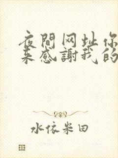 夜间网址你会回来感谢我的