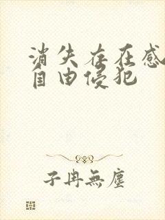 消失存在感消失自由侵犯