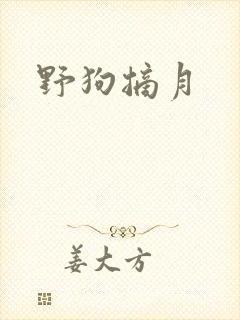 野狗摘月