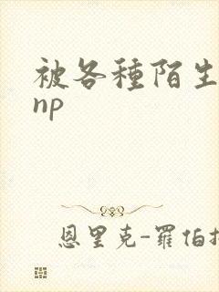 被各种陌生人 np