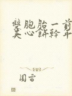 双胞胎一前一后夹心饼干年下