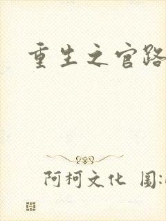 重生之官路风流