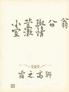 小莹与公翁办公室激情