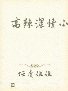 高辣浓情小说