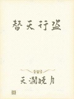 替天行盗