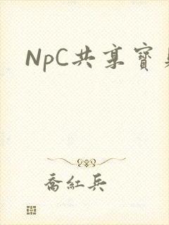 NpC共享宝贝