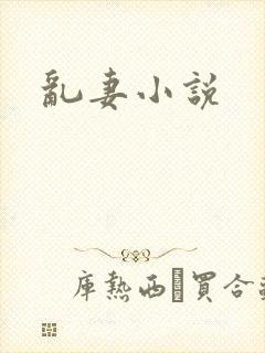 乱妻小说