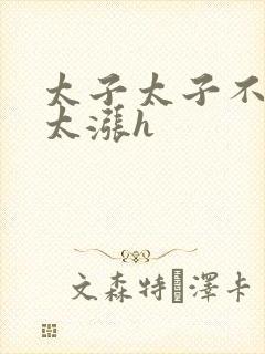 太子太子不要了太涨h