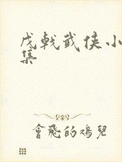 戊戟武侠小说全集