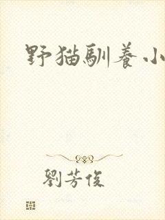 野猫驯养小说