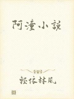 阿潼小说