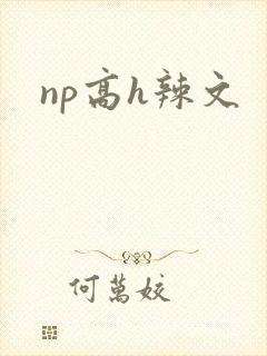 np高h辣文