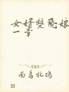 女婿双飞娘俩第一章