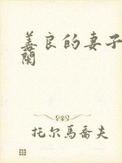 善良的妻子王晓兰