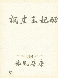 调皮王妃酷王爷