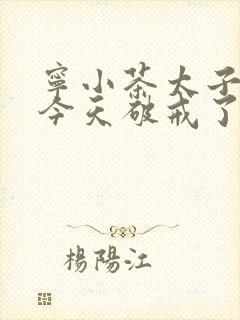 宁小茶太子殿下今天破戒了吗免费阅读