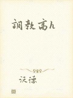 调教高h