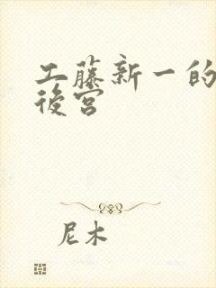 工藤新一的日本后宫