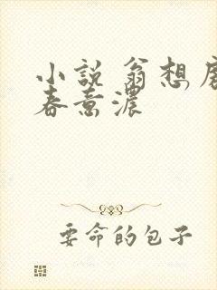 小说 翁想房中春意浓