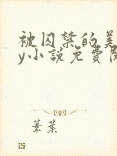 被囚禁的美人by小说免费阅读