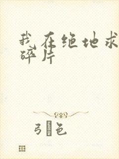 我在绝地求生捡碎片