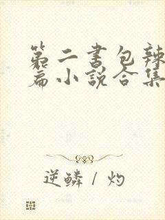 第二书包辣网短篇小说合集