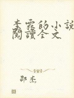 李霖的小说免费阅读全文封面