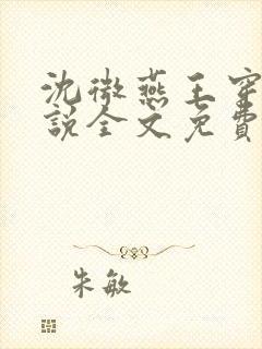 沈微燕王穿越小说全文免费阅读