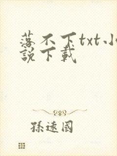 落不下txt小说下载