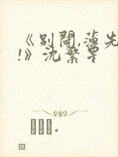 《别闹,薄先生!》沈繁星