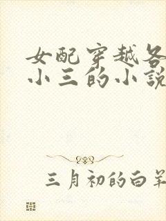 女配穿越各个做小三的小说