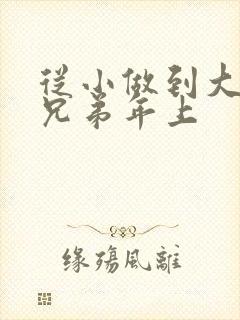 从小做到大骨科兄弟年上