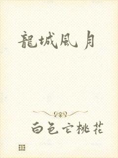 龙城风月