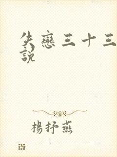 失恋三十三天小说