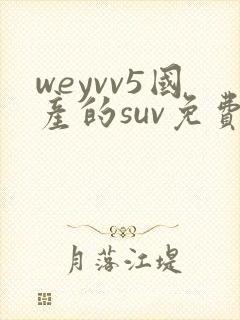 weyvv5国产的suv免费