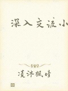 深入交流小说