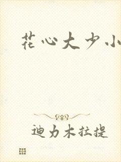 花心大少小说封面