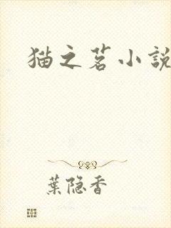 猫之茗小说