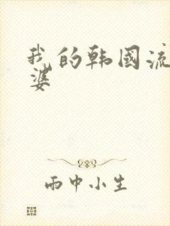 我的韩国流氓老婆