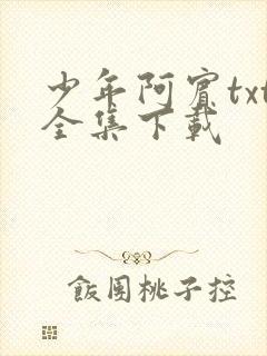 少年阿宾txt全集下载