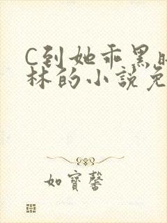 C到她乖黑暗森林的小说免费