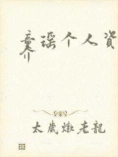 童瑶个人资料简介