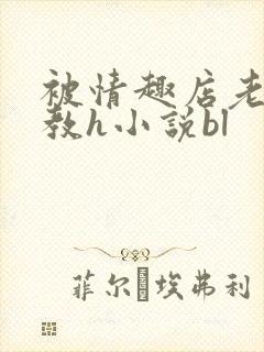 被情趣店老板调教h小说bl