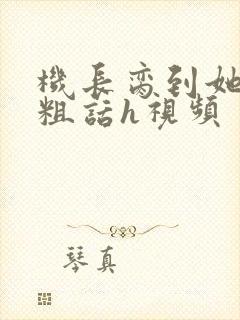 机长脔到她哭h粗话h视频