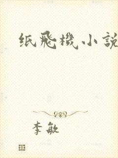 纸飞机小说
