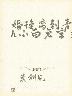 婚后脔到青梅哭h小白兔宫交h