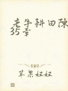 老牛耕田陈雪435章