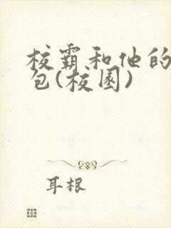 校霸和他的小哭包(校园)封面