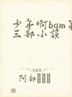 少年啊bgm第三部小说