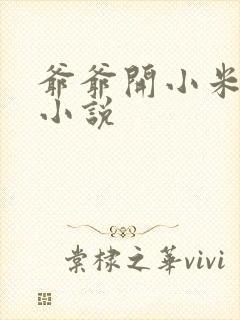 爷爷开小米的包小说